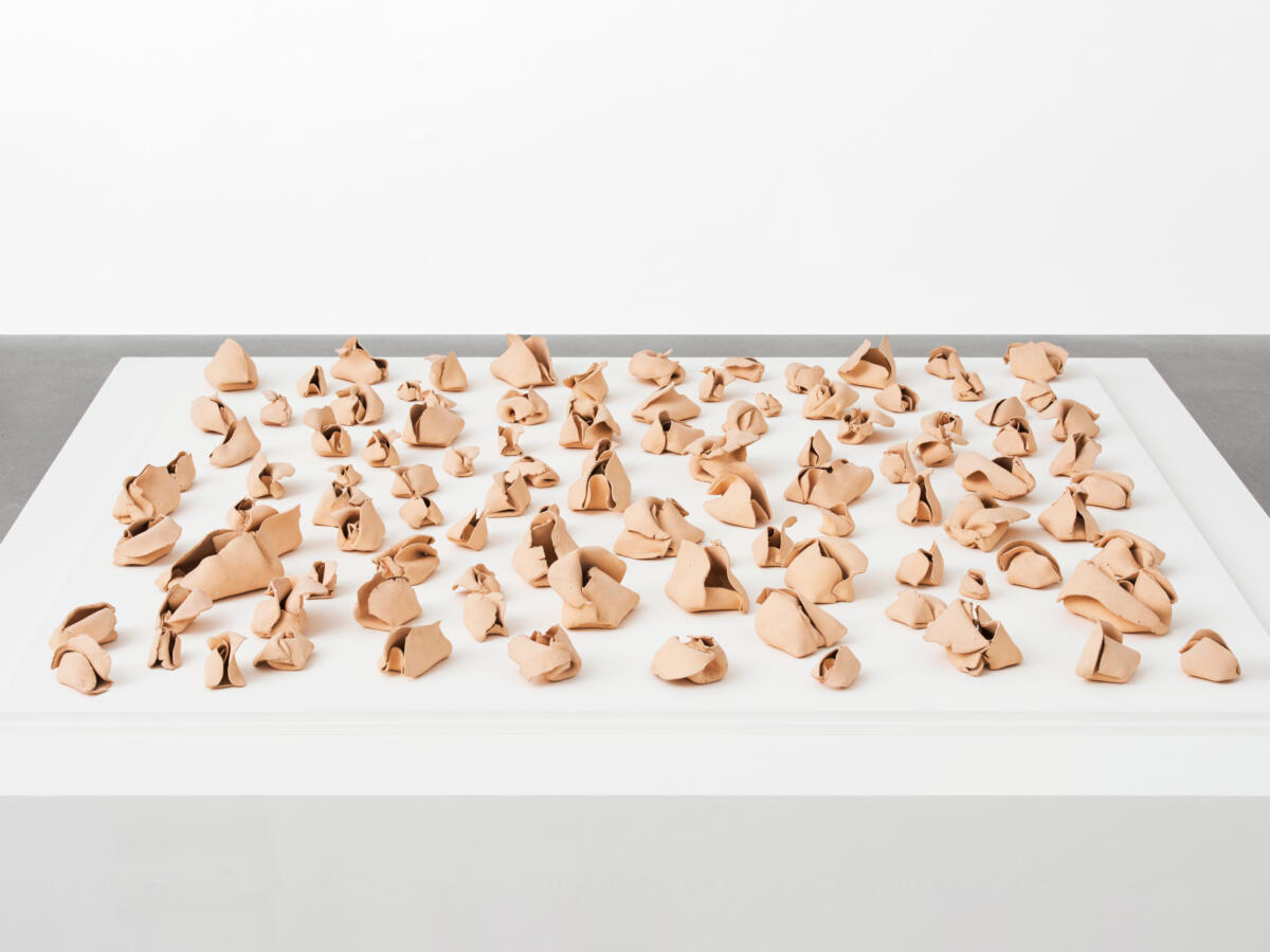 Hannah Wilke – Alison Jacques