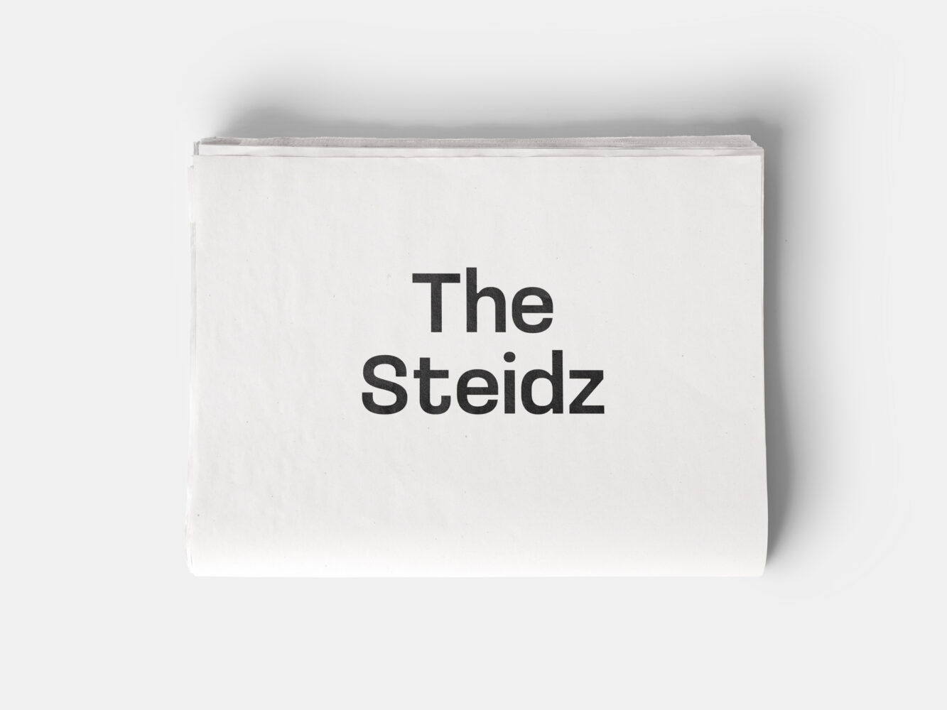 The Steidz, Alison Jacques