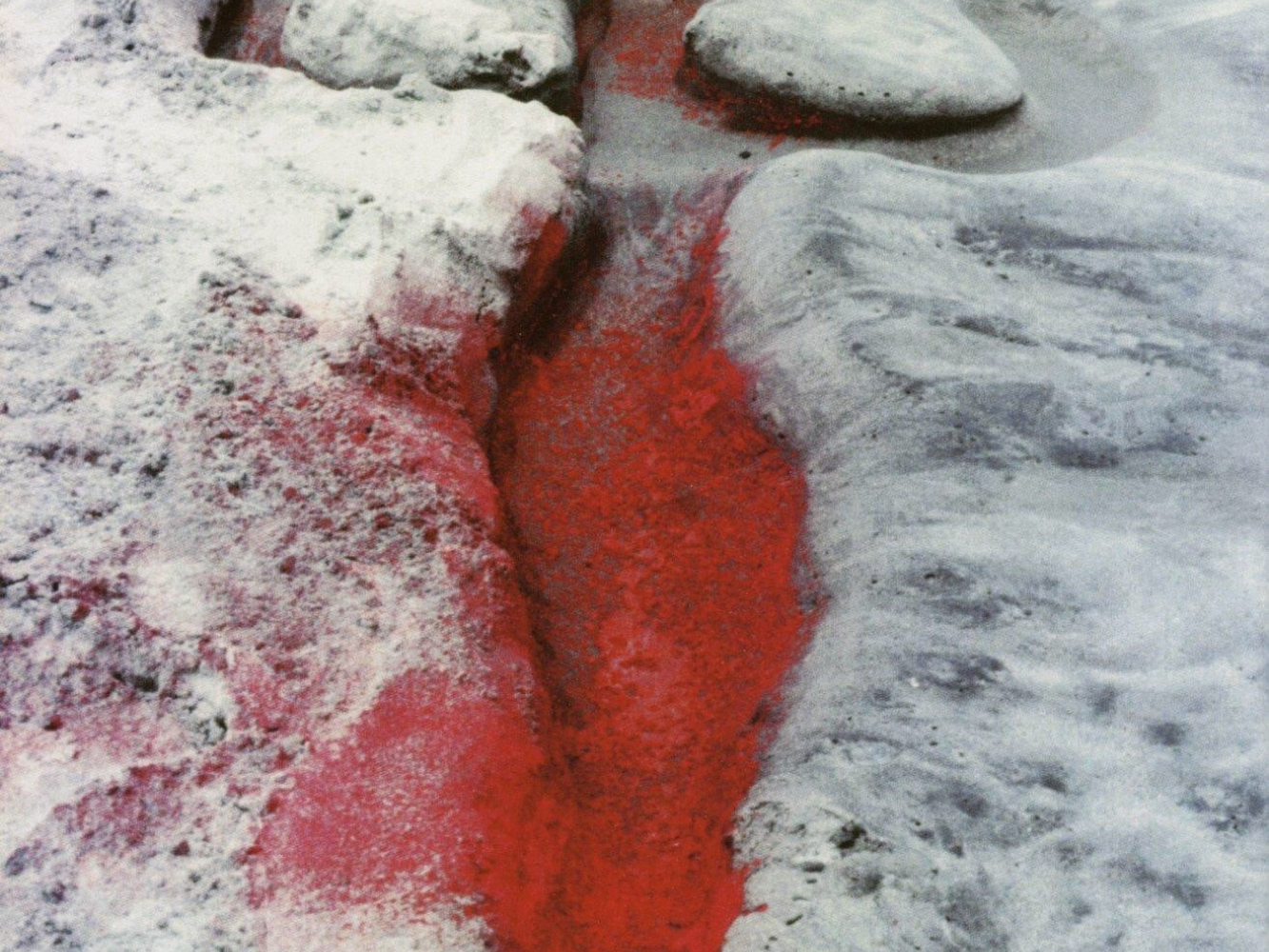 Detail: Ana Mendieta, Silueta Works in Mexico, 1973-77 © The Estate of Ana Mendieta Collection, LLC.⁣⁣⁣