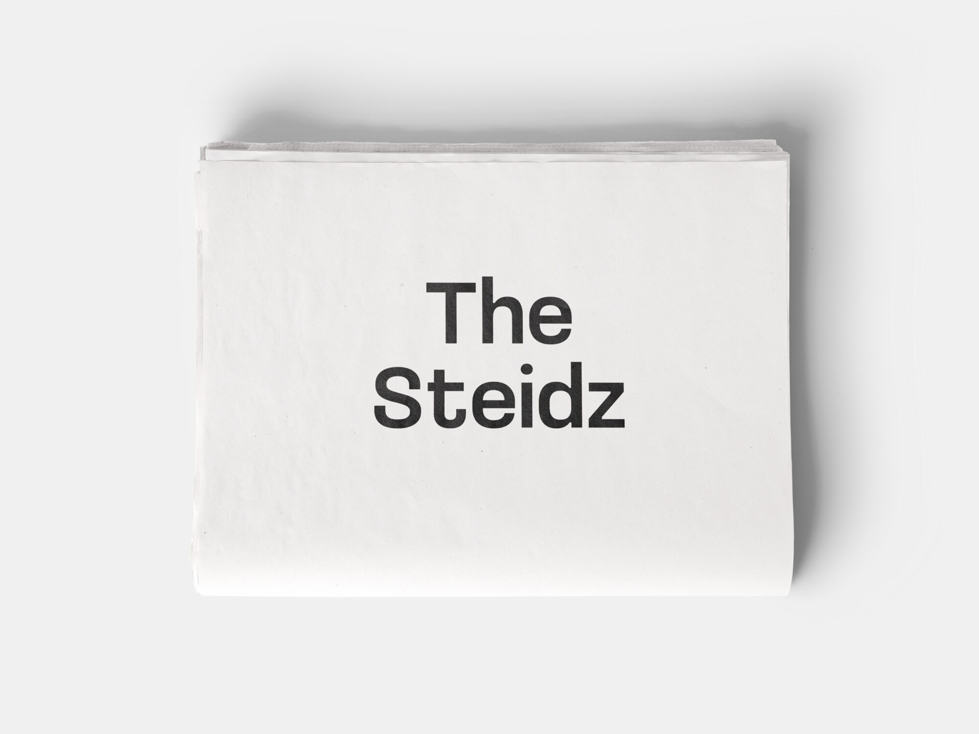 The Steidz, Alison Jacques