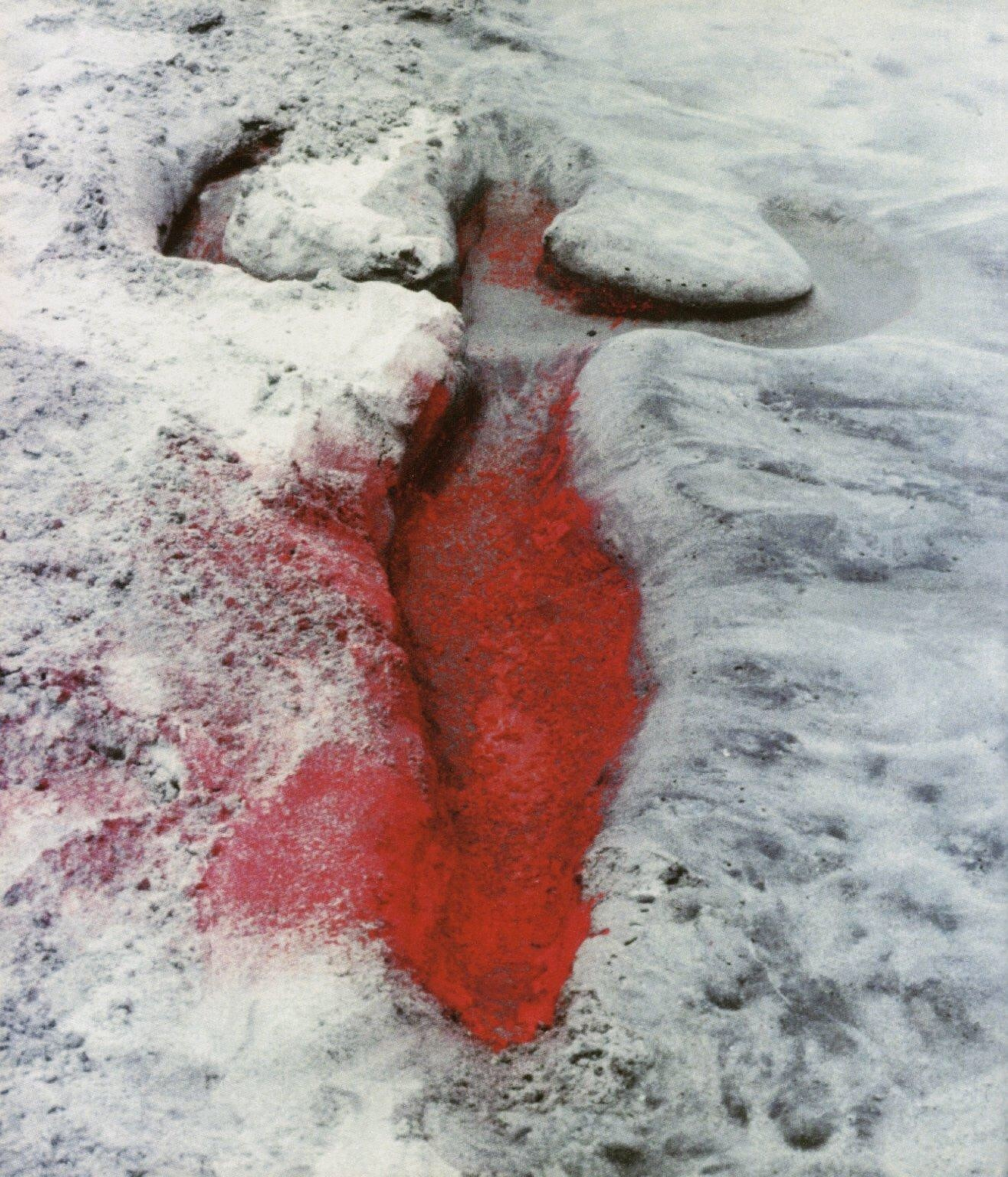 Detail: Ana Mendieta, Silueta Works in Mexico, 1973-77 © The Estate of Ana Mendieta Collection, LLC.